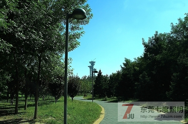 城市森林公園道路、步道照明設計原則