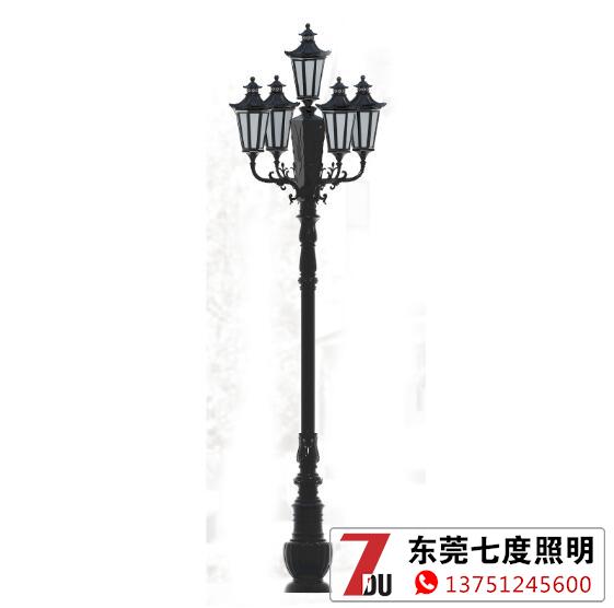 ̘IVWʽ¹ͥԺʽDƬչʾ